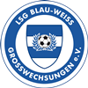 Wappen LSG Blau-Weiß Großwechsungen 1902 II