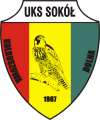 Wappen UKS Sokół Kolbuszowa
