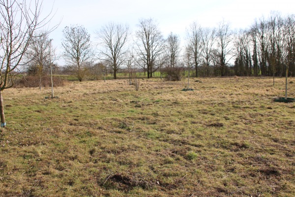 Sportplatz Borr - Erftstadt-Borr