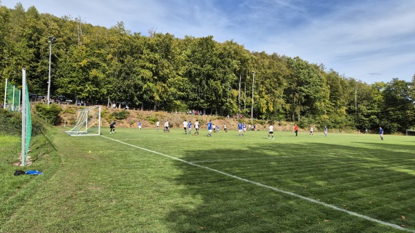 Sportplatz Ginolfs - Oberelsbach-Ginolfs