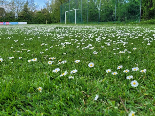 Micky-Kähler-Platz - Fehmarn-Petersdorf
