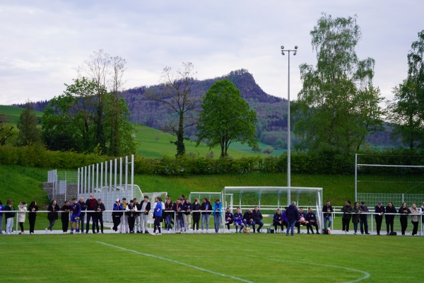 Stadion Welschingen - Engen-Welschingen