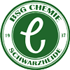 Wappen BSG Chemie Schwarzheide 1993  10394
