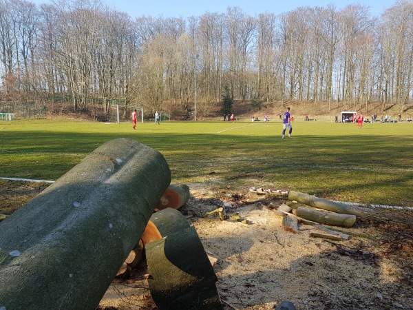 Sportplatz an der Schule - Oelixdorf