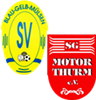 Wappen SG BG Mülsen II / Thurm (Ground A)