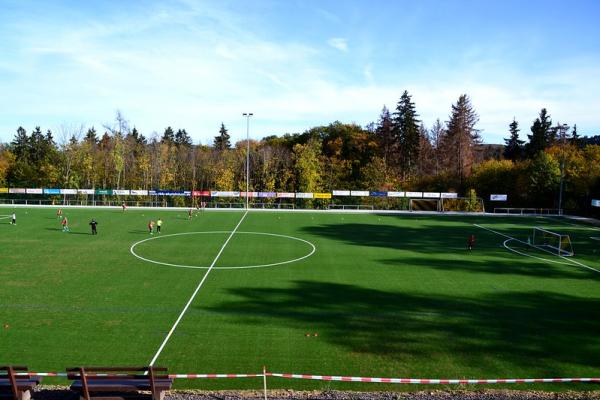 Sportplatz Waldstraße - Wehr/Eifel