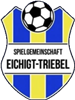 Wappen SpG Triebel/Eichigt II (Ground B)