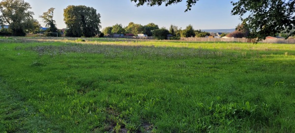 Sportplatz Abendfrieden - Roßleben-Wiehe