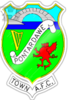 Wappen ehemals Pontardawe Town FC  3115