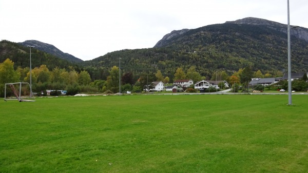 Eventyrøy gress - Seljord