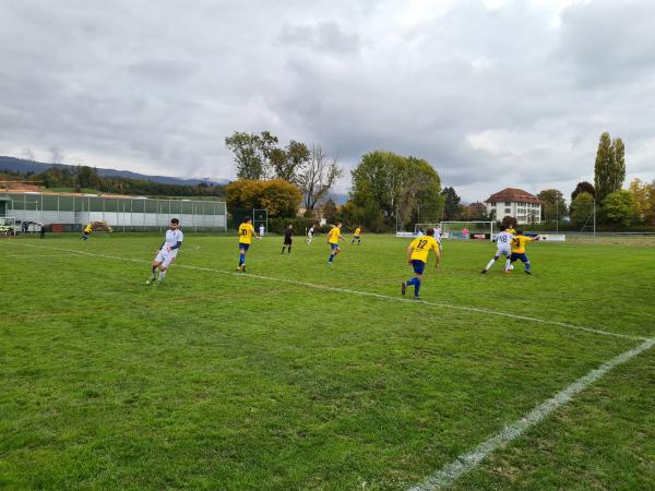 Sportplatz Aare - Orpund