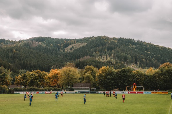 Flößer-Stadion - Wallenfels