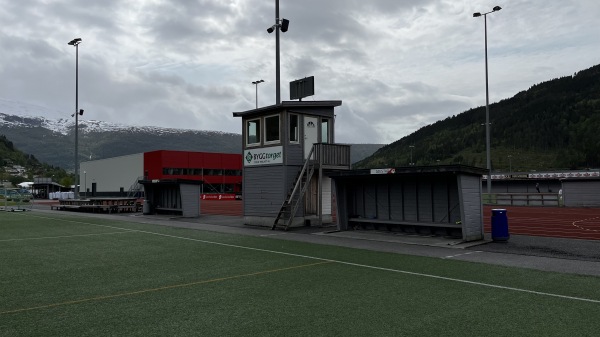 Stryn Krøllgras - Stryn