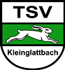 Wappen TSV Kleinglattbach 1954 diverse  46328