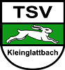 Wappen TSV Kleinglattbach 1954 diverse