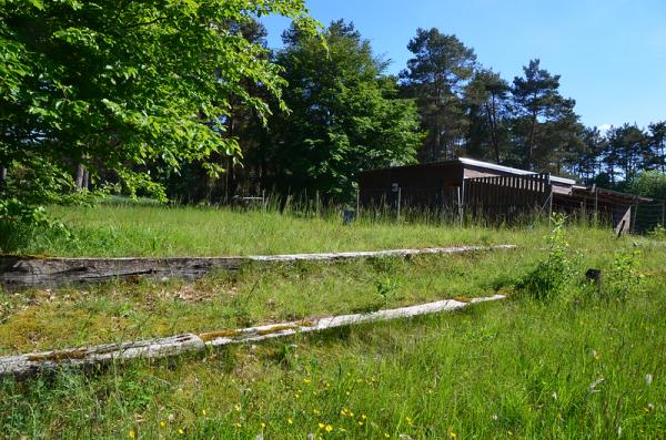 Waldstadion - Blankenheim/Ahr-Dollendorf