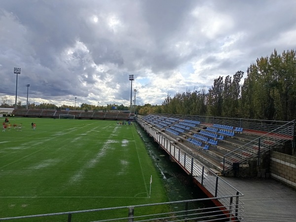 Estadio Puente Castro - León, CL