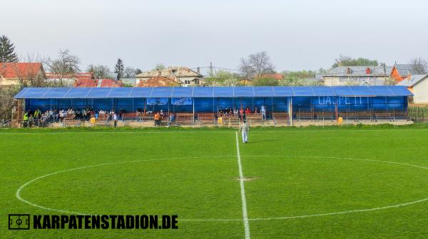Stadionul Central Voința - Domnești