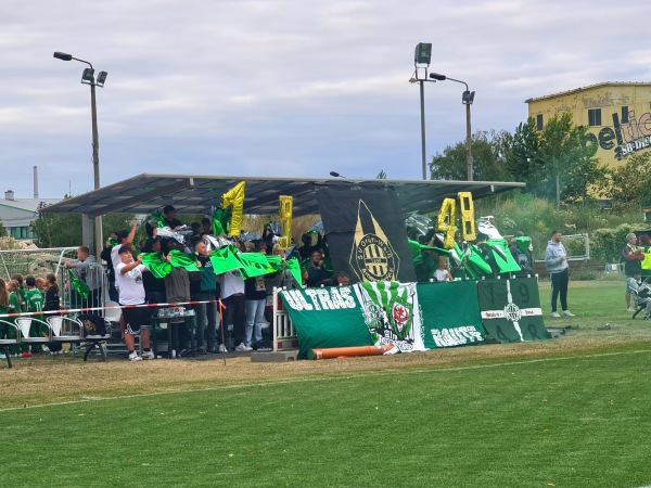 Sportplatz Grün-Weiß - Halle/Saale-Ammendorf