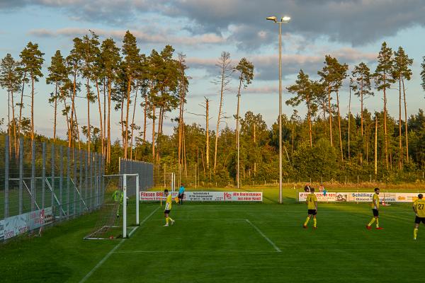 SPECK-Sportpark Platz 3 - Roth/Sand
