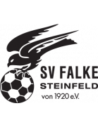 Wappen SV Falke Steinfeld 1920 II  23538