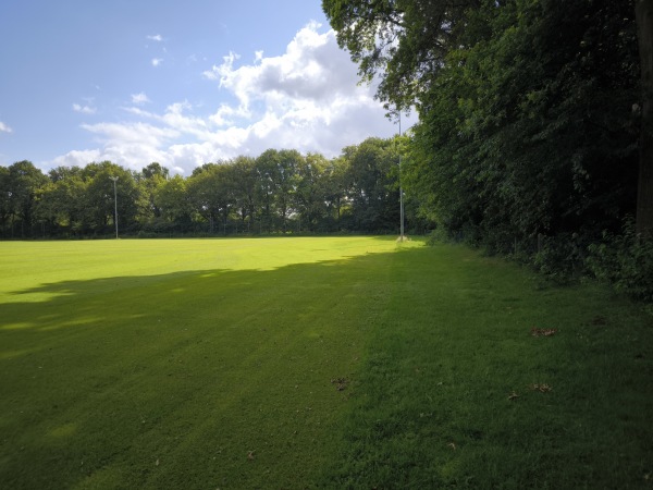 Sportpark De Wijchert veld 5 - Wijchen