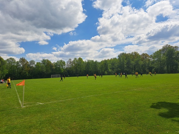 Sportveld De Fielliettaz Goethart veld 4 - Tynaarlo-Vries