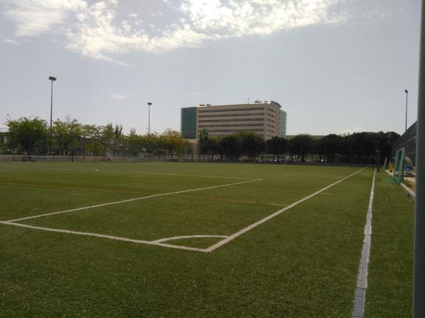 Campo de Fútbol David Gonzalez Rubio - Madrid, MD