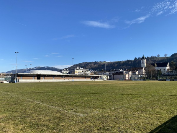 Sportplatz Risch - Ebikon