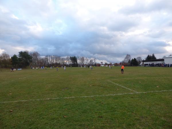 Sportplatz Tauer - Tauer