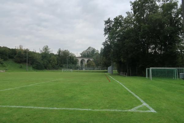 Sportplatz Dammweg - Goldach