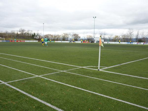 Georg-Sauer-Sportanlage - Ingelheim/Rhein-Wackernheim