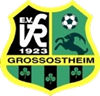 Wappen VfR 1923 Großostheim  38201