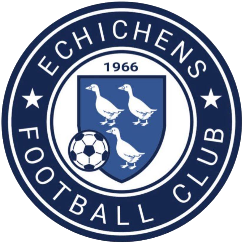 Wappen FC Echichens III  47503