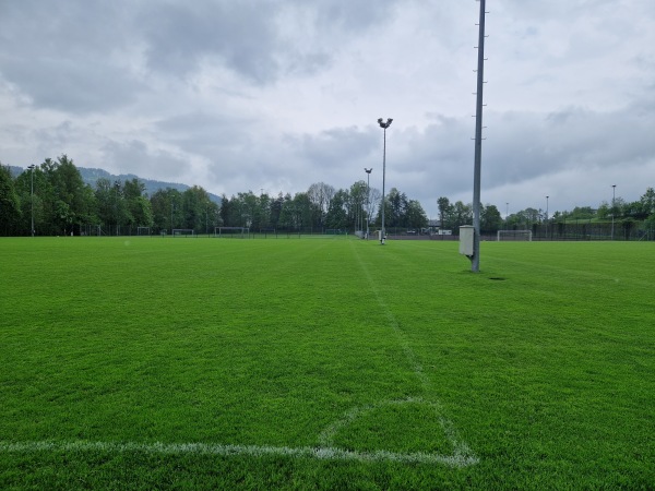 Sportanlagen Gründenmoos Platz 3 - St. Gallen