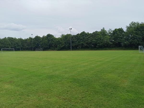 Sportanlage Bergstraße Platz 2 - Medlingen