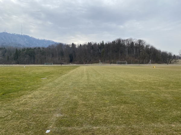Sportanlage Allmend Brunau Platz 4 - Zürich