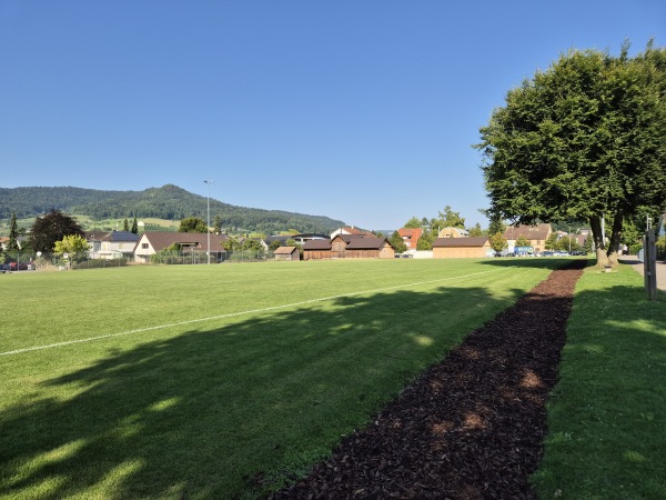 Sportzentrum Tannenbrunn Platz 3 - Sissach