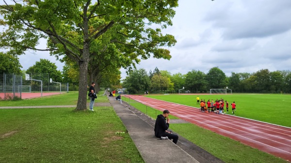 Sportplatz Alexander-von-Humboldt-Gymnasium - Schweinfurt-Bergl