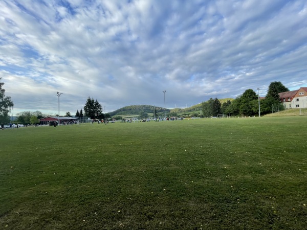 Sportanlage Hainbuchenweg Platz 2 - Sinntal-Sannerz