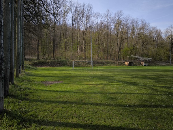Sportplatz an der Asse B - Denkte-Groß Denkte