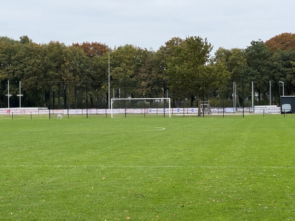Sportpark Wesselerbrink Midden veld B - Enschede