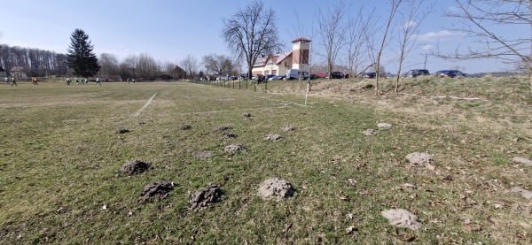 Boisko w Radnica - Radnica