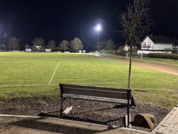 Willi-Klag-Arena - Landau/Pfalz-Dammheim