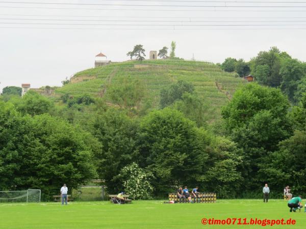 Sportanlage Carl-Diem-Straße - Ludwigsburg-Neckarweihingen