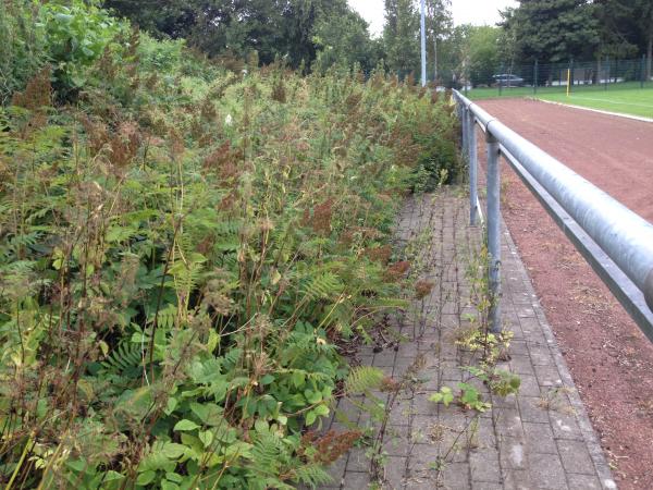 Sportplatz Gemeinschaftsschule - Kappeln