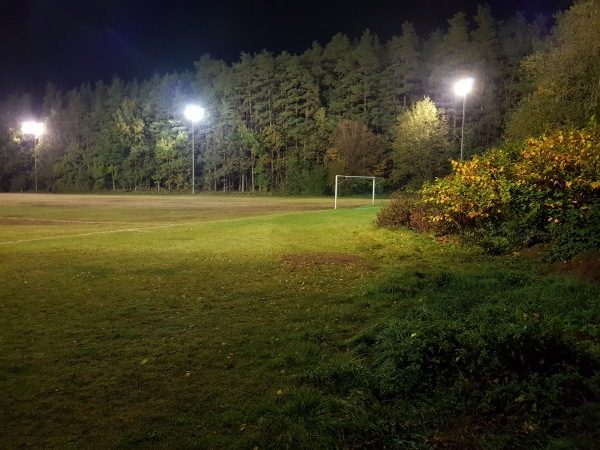 Sportanlage Forth Platz 3 - Eckental-Forth