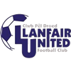 Wappen Llanfair United FC