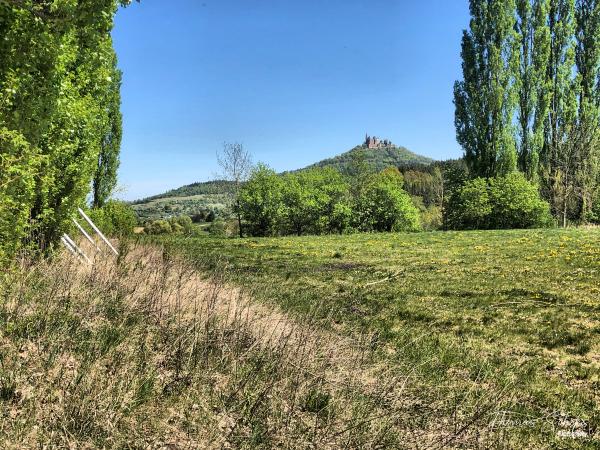 Sportplatz Thanheim - Bisingen-Thanheim