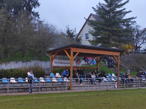 Wiesgartenstadion - Mommenheim